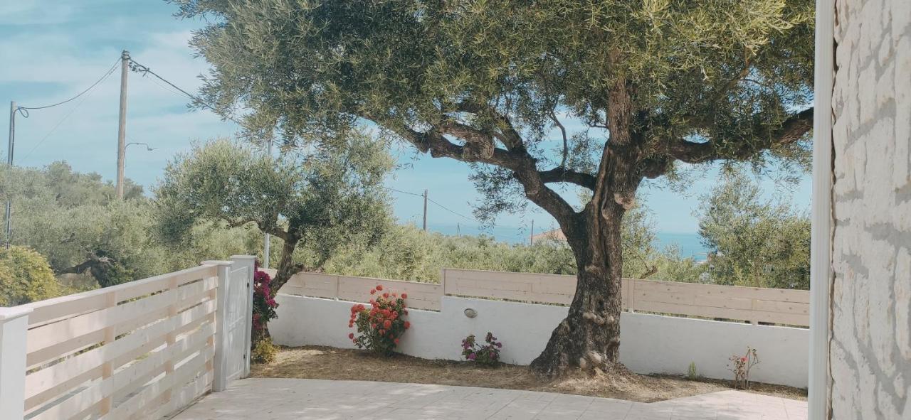 Villa Zante Avia พลานอส ภายนอก รูปภาพ